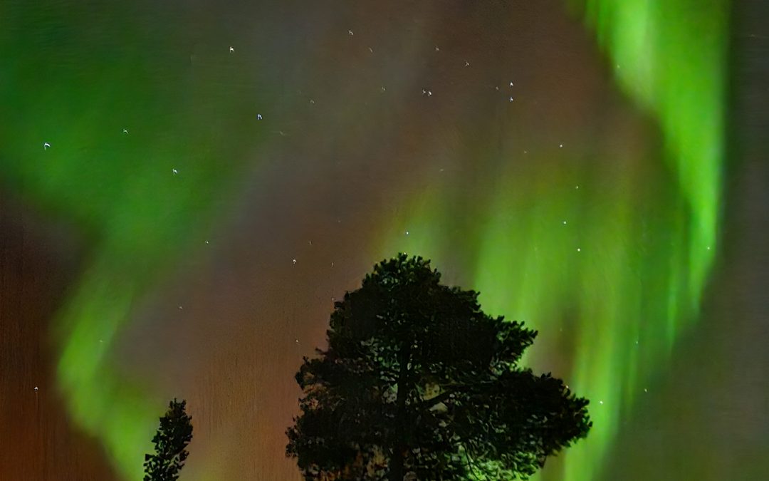 Gott nytt år!